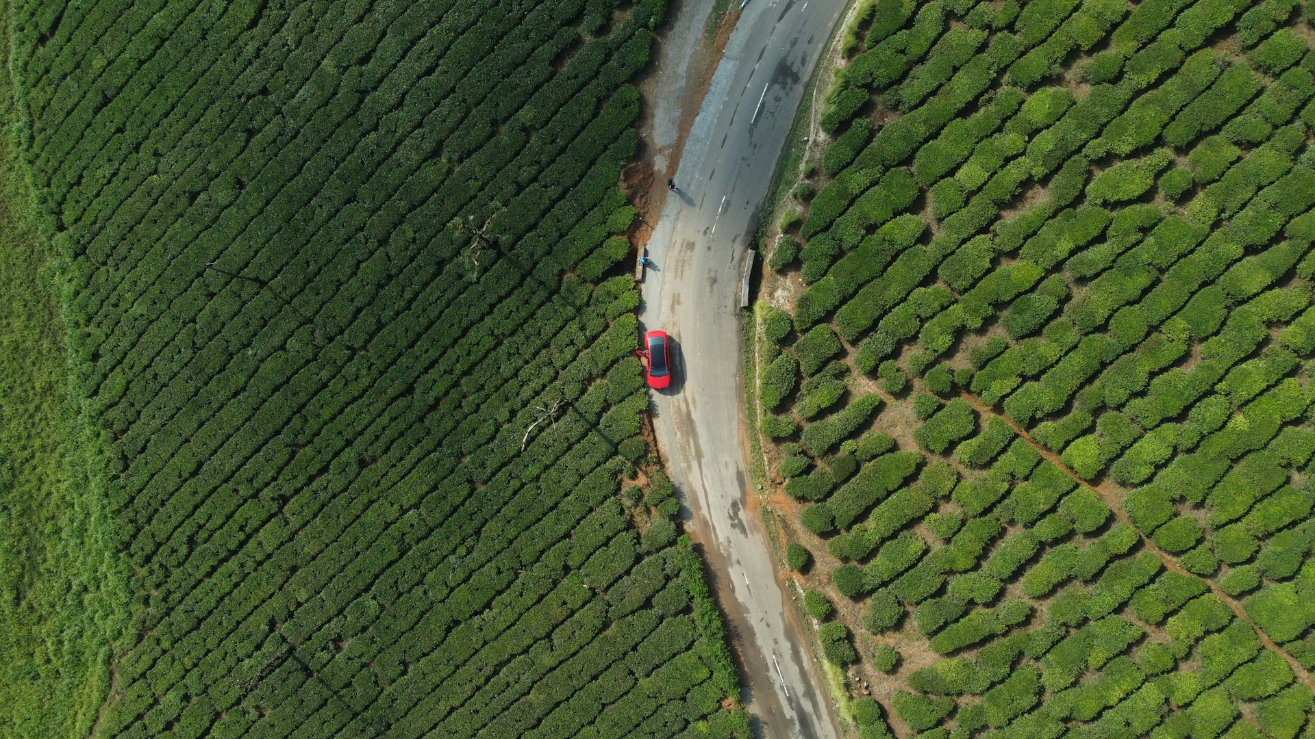 An aerial view of a car driving down a road